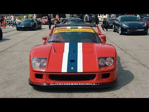 Street Legal Ferrari F40 LM driving in the Swiss Alps - Accelerations, Fly Bys and Backfiring!