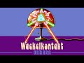 Wackelkontakt-Oimara
