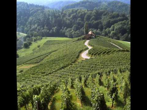 Henček & Pero Lovšin-Peronospora je živ hudič