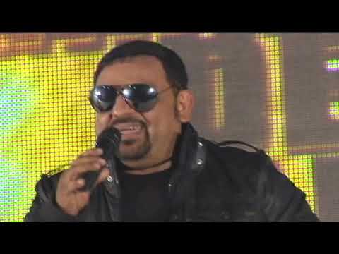 Tigrillos ft. Mr. Chivo - Tongoneaito (Los Grandes del Baile)