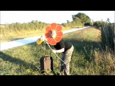 FLEUR DE PROVINCE - P'tites Fleurs