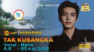 Download lagu MARIO - TAK KUSANGKA | Lagu Mandarin Indonesia#mandarindo mp3