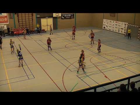 17-18 samenvatting Kwiek-Bevo