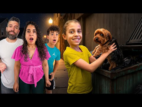 Encontramos a un PERRITO ABANDONADO en la calle!