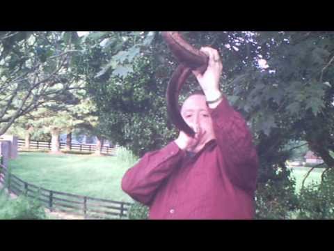 sound the trumpet in zion