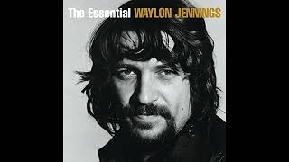 Didn't We Shine by Waylon Jennings