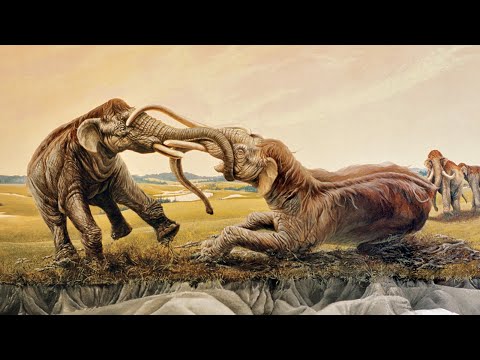 7 Interesting Facts About Woolly Mammoths | Ajeeb o Ghareeb Animal