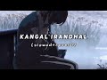 Kangal Irandhal Subramaniapuram Slowed And Reverb The Hustlers