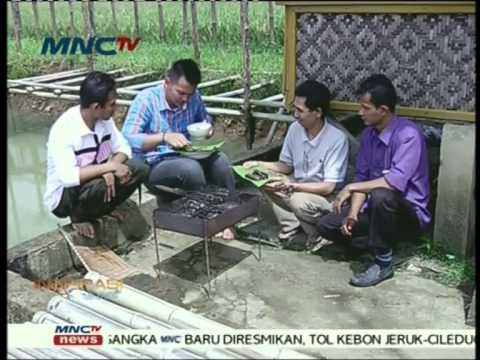 Ulasan torus opshn Paling efektivnost berarti untuk potensi