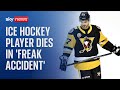 Adam Johnson Ice Hockey Player Dies After Neck Slashed By Skate In Sheffield