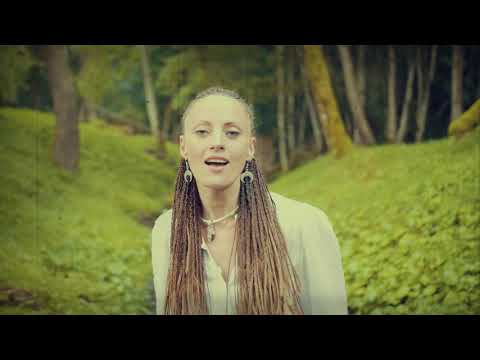 Žalvarinis - Šių naktelį  (Official Music Video)