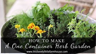 DIY One Container Herb Garden | Container Herb Garden For Beginners