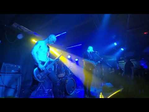 Aeulurus - Venos Live Lemmy Club 2024