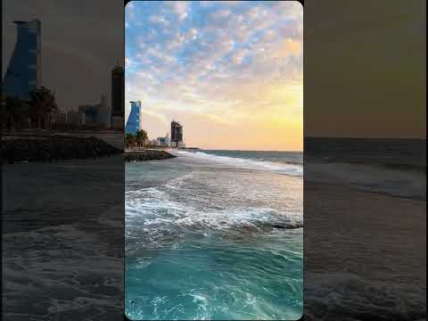 #happiness comes in waves..❤️🐳