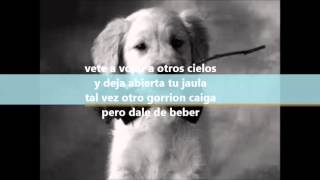 Lo Que Un Dia Fue No Sera - letra