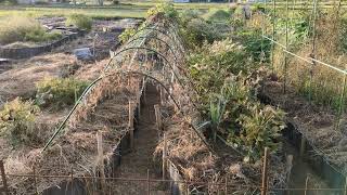 【限定動画】のんびり農園の紹介