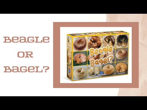 Beagle or Bagel Card Game