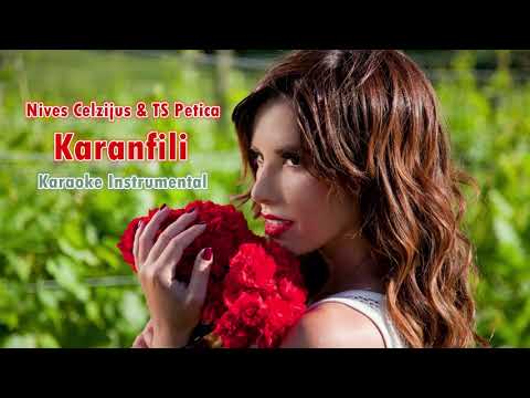 Nives Celzijus & TS Petica - Karanfili (Karaoke Instrumental)