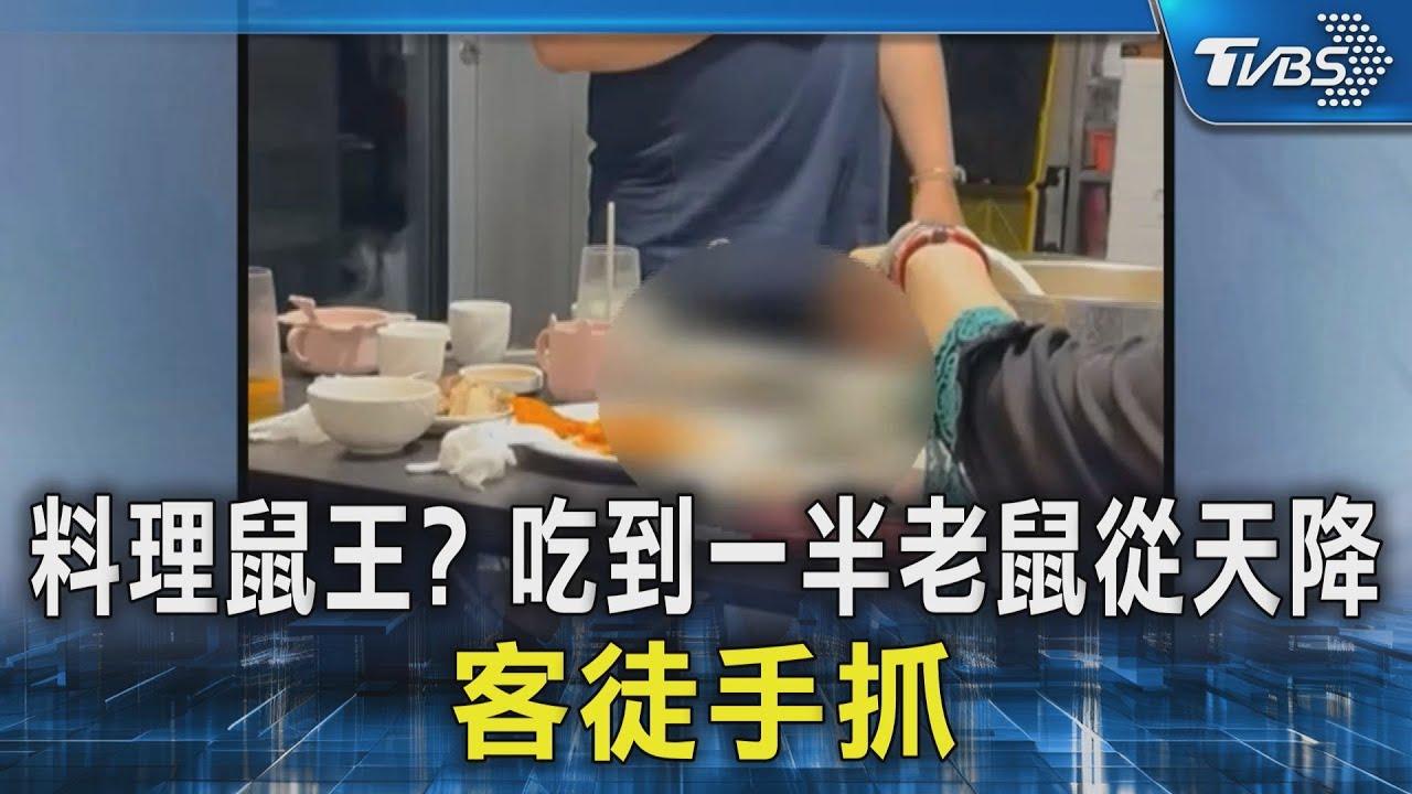 韓式餐廳驚見「老鼠從天降」!尖叫鼠遭夾走 餐廳:氣候炎熱