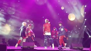LUCENTE - FALLING PETALS (fancam)