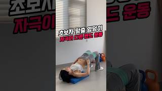 ㅇㅎ) 초보자 엉덩이 운동