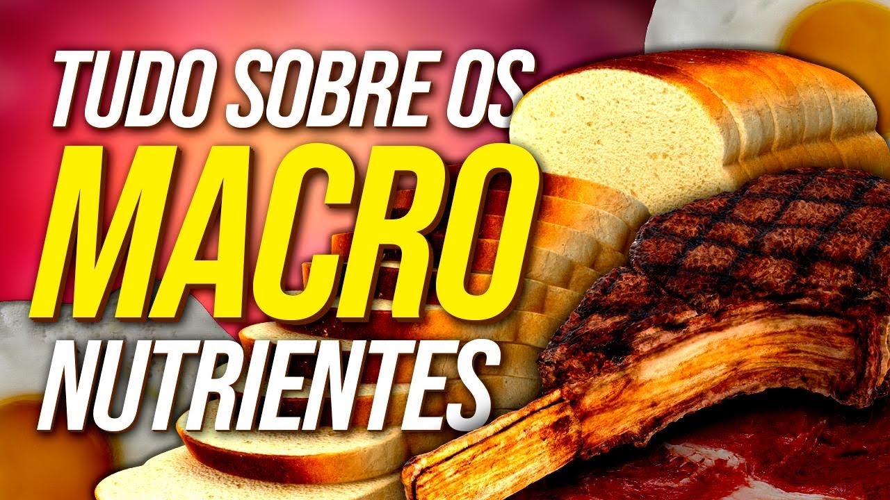 MACRONUTRIENTES | Pilares da nutrição que vão mudar sua relacionamento com os alimentos