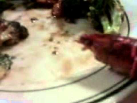 The great China billy the kid crab destroyer of do