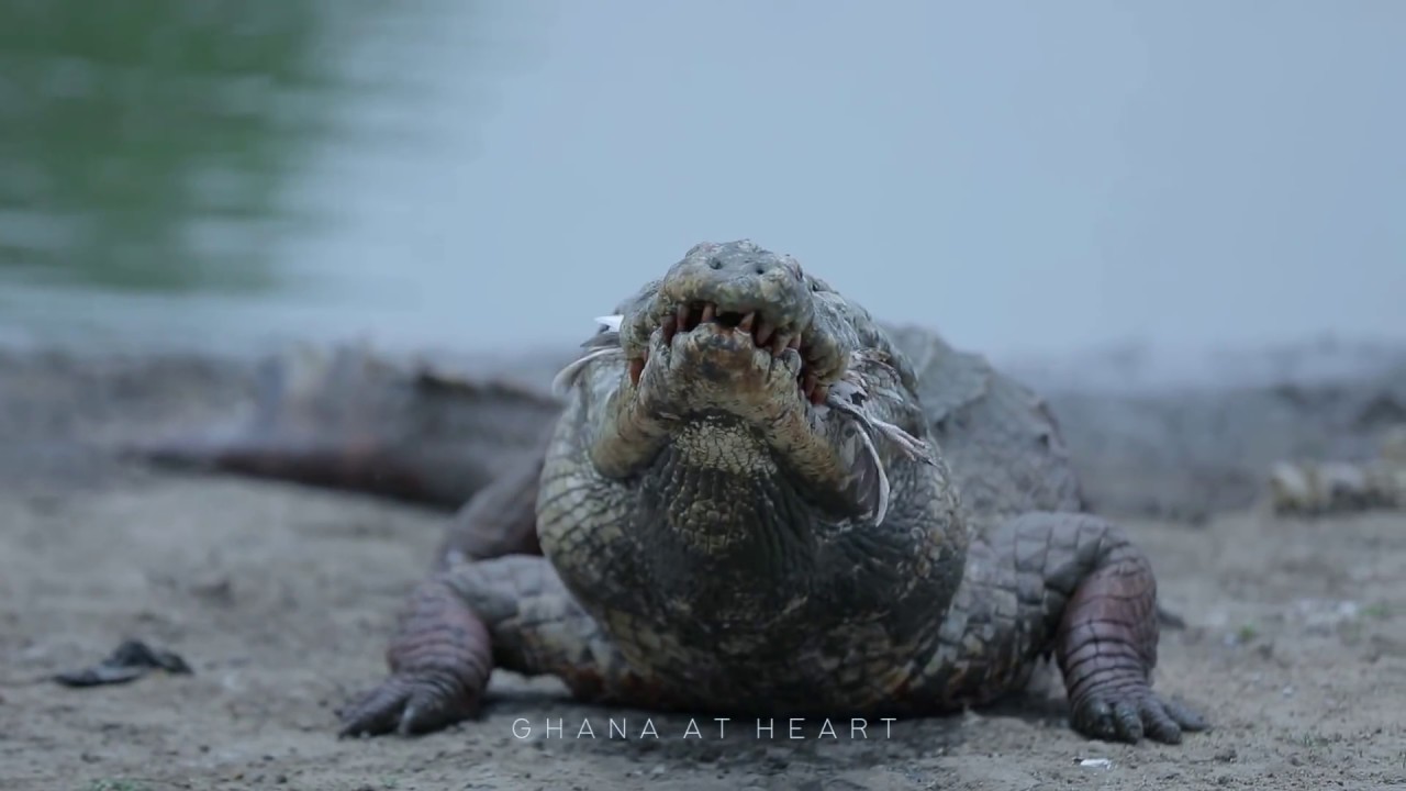 EcoTourism - Ghana At Heart