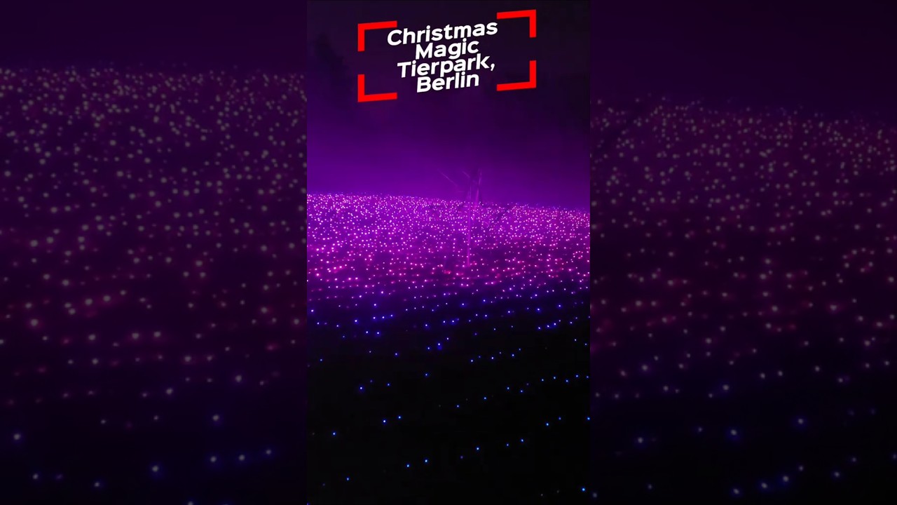 Weihnachten im Tierpark 🎄✨ Berlin’s Most Magical Christmas Light Walk!!