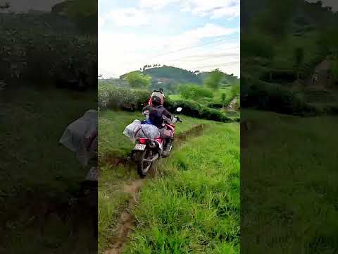 Thumbnail for 🏍️ Off-road through green trails – where roads end, freedom begins 🌿 #shorts #motorides by Motorcycle, WiLL