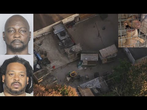 Feds arrest pair allegedly involved in large dogfighting operation