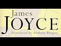 Anthony Burgess Speaks 1984 Finnegans Wake