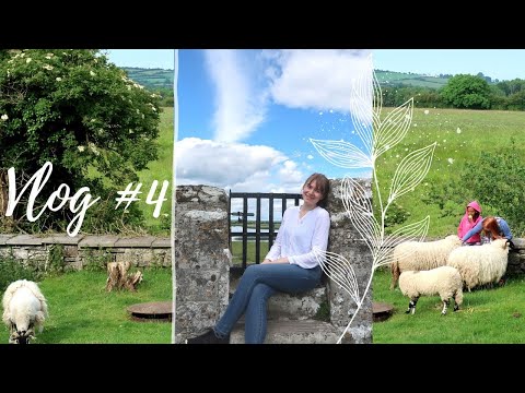 FAMILY IS ALL WE GOT || VLOG #4