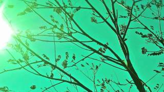 The Holidays Are Here (And We Are Still At War) by Brett Dennen