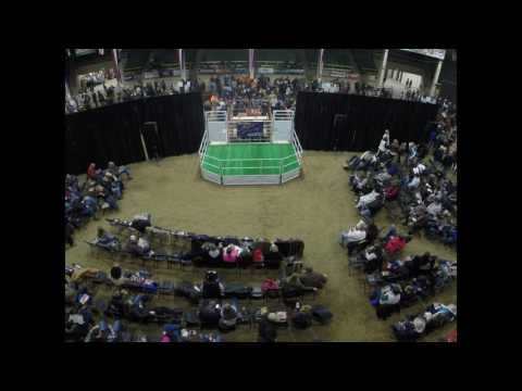 2017 Herford Sale Timelapse