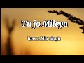 Tu Jo Mileya | Video | Juss x Mixsingh New Punjabi Song 2024 | Latest Punjabi Songs 2024