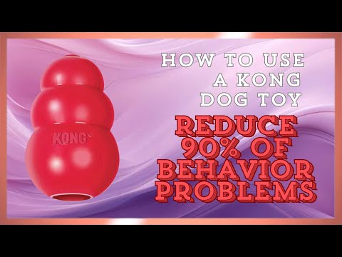 How to Use Kong Toys to Help Enrich and improve Your Dog's Life and behavior