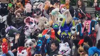 Aurawra 2025 fursuit walk