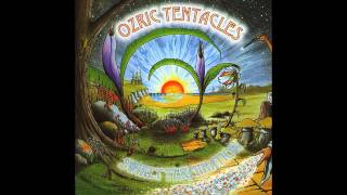 Ozric Tentacles "Crackerblocks" (Montage)
