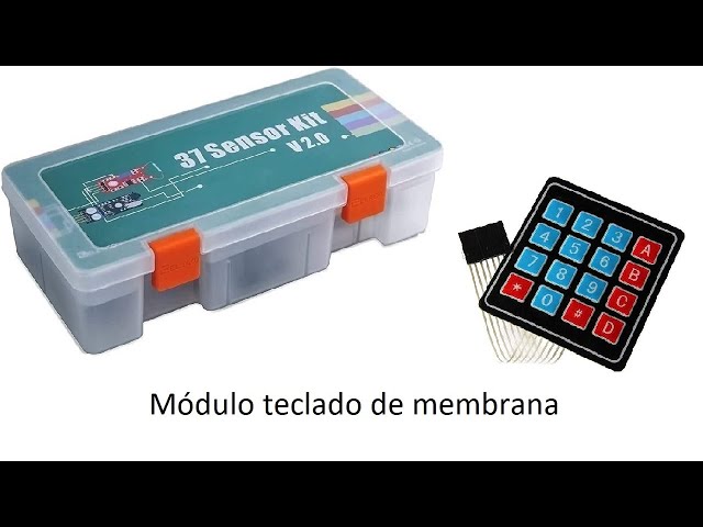 Video relacionado