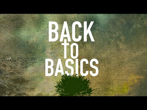 Bible Boot Camp Day # 13 Back to Basics
