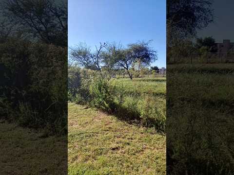 las chacras san luis