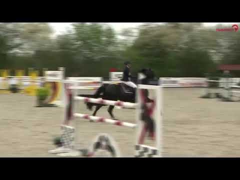 Pheline Ahlmann  - Lint -  CSE Ehlersdorf