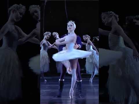 La muerte del cisne vs. El lago de los cisnes🦢🩰