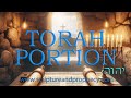 Torah Portion Bamidbar Numbers 1 4 20 The First Census Of Israel 2020 Rebroadcast