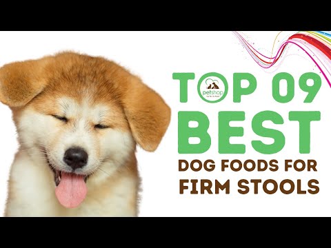 Best Dog Food For Firm Stools