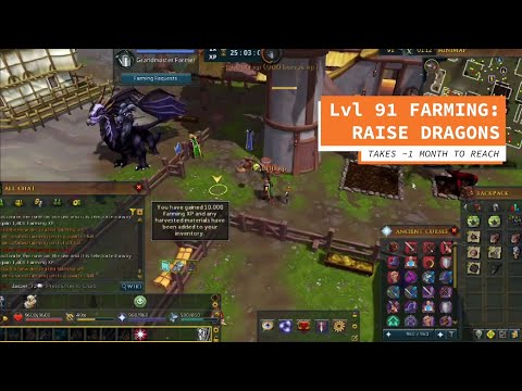 RuneScape Activities to Start EARLY! Passive XP and GP / Player-Owned Farm / Ports / Anachronia