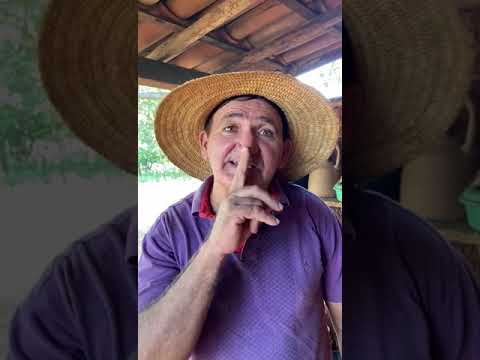 SELECTION OF JUVENAL JOKES ONLY THE GOOD ONES