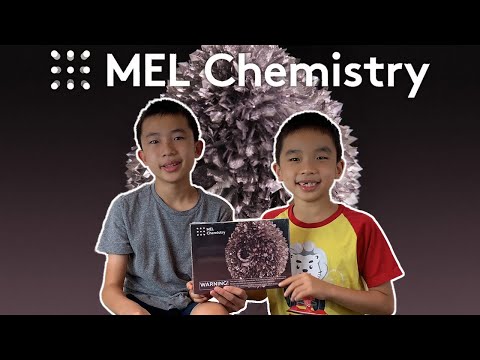 MEL Chemistry Tin Experiment: Tin Dendrite and Tin HedgeHog | Chemistry for KIDS!