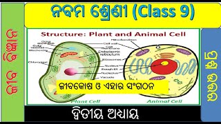 ଜୀବକୋଷ ଓ ଏହାର ସଂଗଠନ  || class 9 Life Science chapter 2 question answer in odia || Cell structure